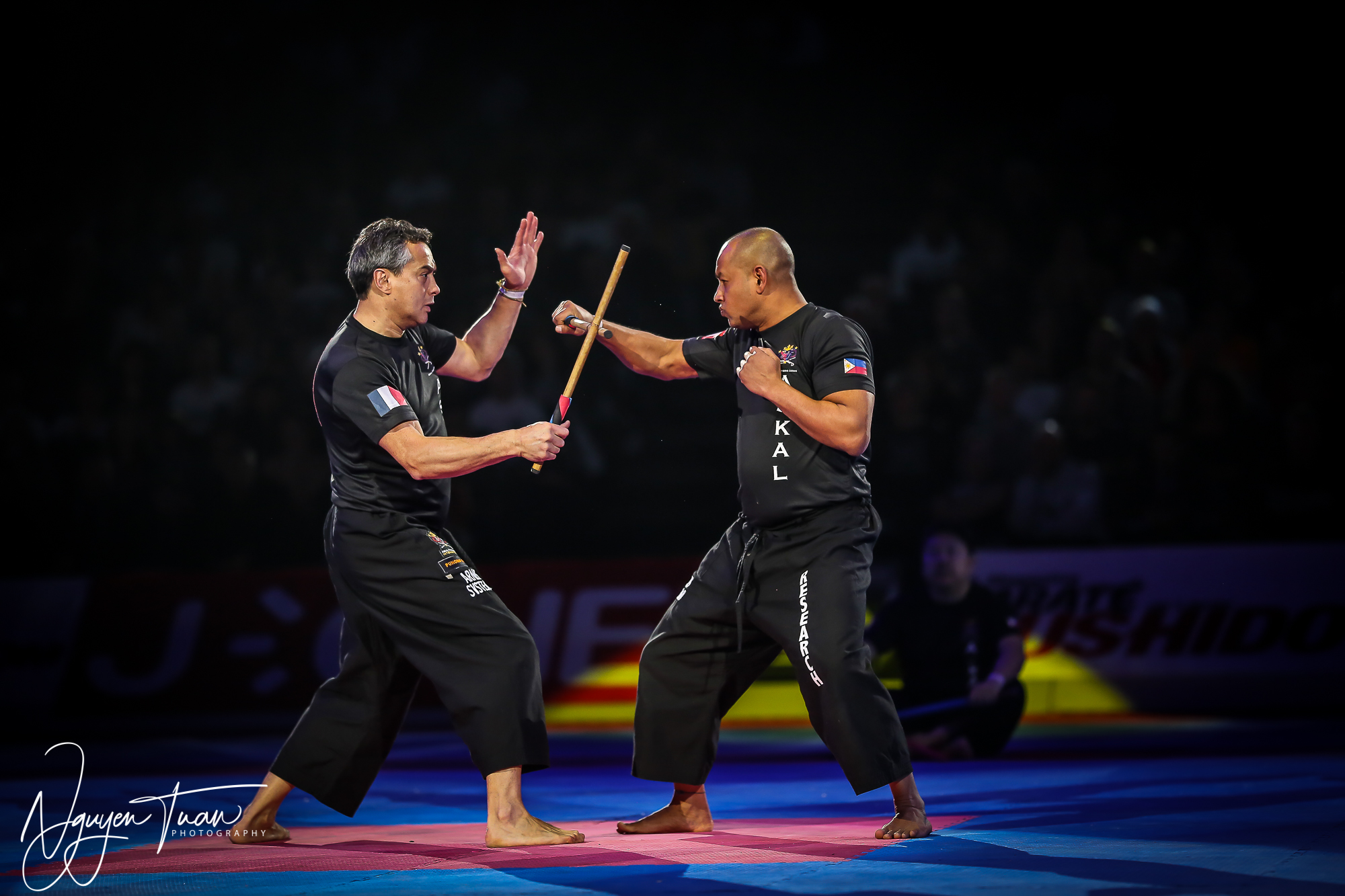 20190324 Festival des Arts Martiaux 4887